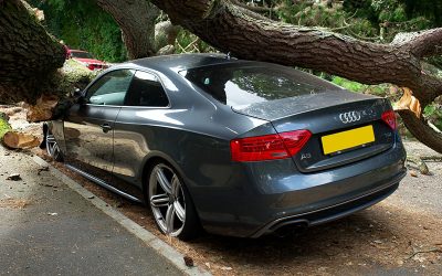 Hire A Local Car Accident Lawyer Houston Texas